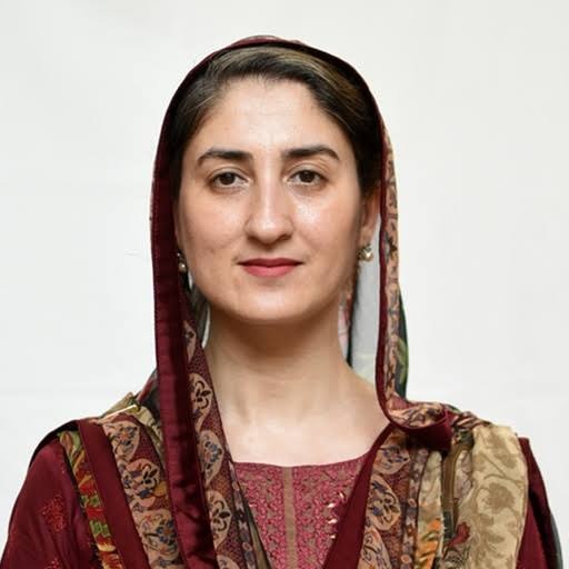 Dr. Momina Moetesum